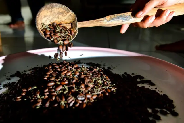 Biji kopi yang dicampur dengan ganja di Banda Aceh.