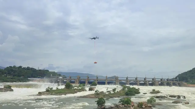 வெள்ளத்தில் சிக்கிக் கொண்ட நாய்களை மீட்க தீவிரம்