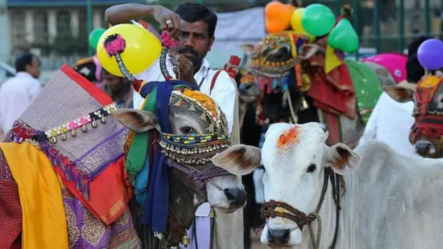 సంక్రాంతి 