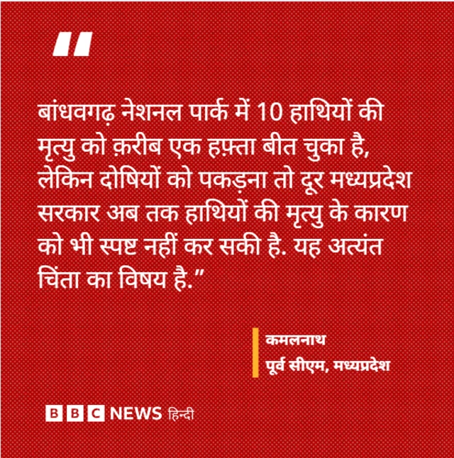 ग्राफ़िक्स कार्ड