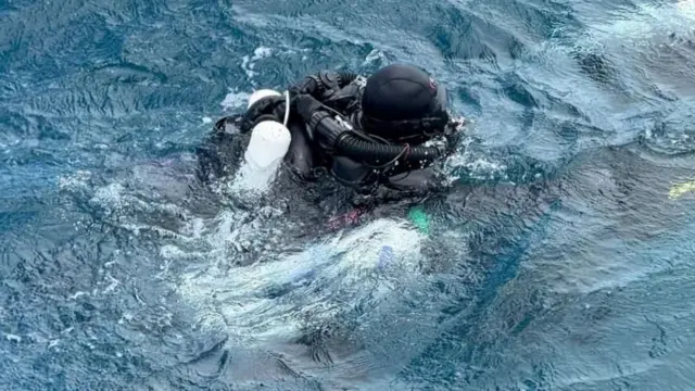 denizde sırtı dönük bir halde yüzen bir dalgıç