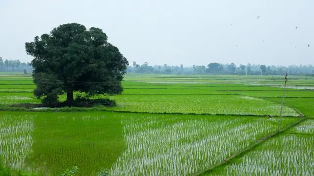 కండలేరు జలాశయం