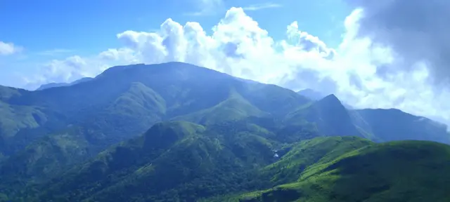 வனத்துறையினர் துப்பாக்கிச் சூடு