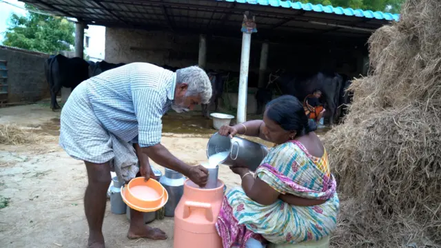 పాడి పరిశ్రమ