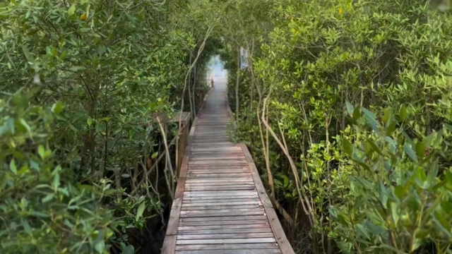 banjir rob, pesisir utara jawa, pantura, gresik