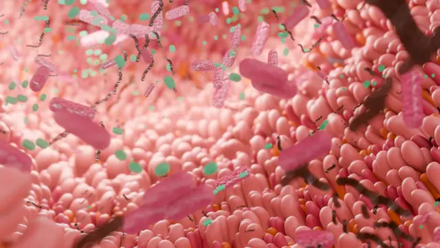 মাইক্রোবায়োম