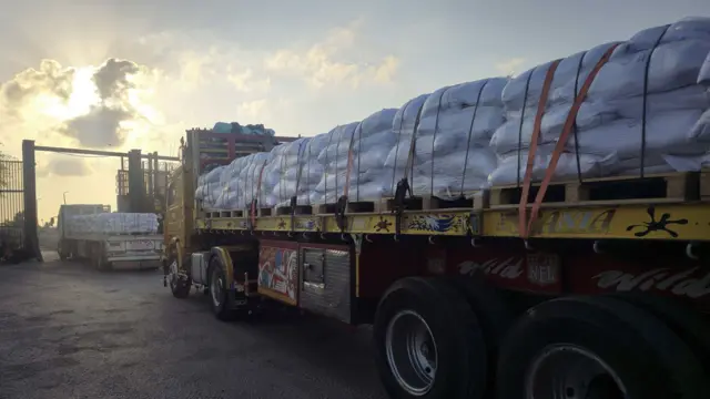 سُمح لعدد محدود من الشاحنات المحملة بالمساعدات الإنسانية المتجهة إلى قطاع غزة بالمرور عبر معبر رفح الحدودي من مصر يوم 29 يوليو/تموز 2025 في رفح