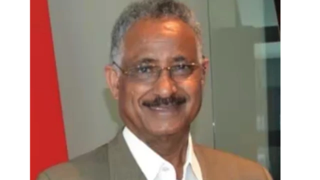 ኣምባሳደር ዓንደብርሃን ወልደግዮርጊስ