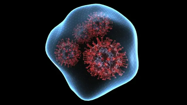 कोरोना, डेल्टा, कोव्हिड