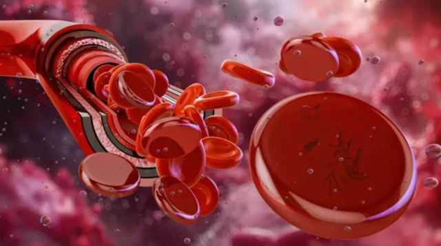 ਦੁਰਲੱਭ ਬਲੱਡ ਗਰੁੱਪ