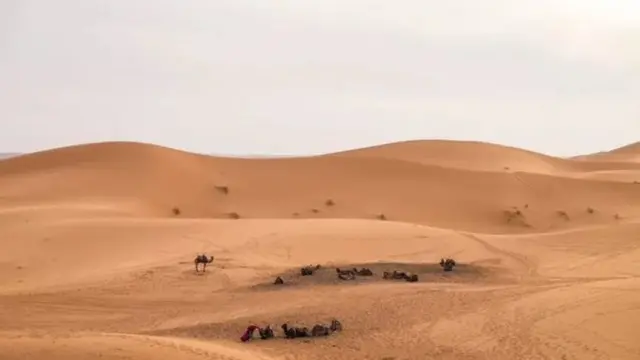 अमेरिका