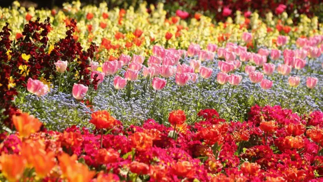 foto yang menyejukkan