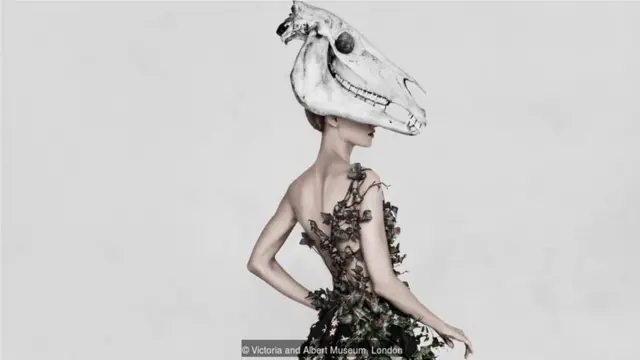 艺术家施佩尔斯（Vee Speers）结合动物的头骨创作了一系列的照片。这些作品也在 "时尚源于自然"展览中展出。(Credit: Victoria and Albert Museum, London)