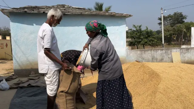 వడ్లు బస్తాల్లో నింపుతున్న మహిళలు