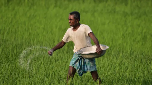 நிலத்தடி நீர் மாசுபாடு, நைட்ரேட் அளவு, ஆரோக்கியம், சுற்றுச்சூழல் 