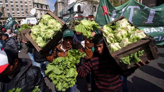 Productores cargan cajones con verduras.