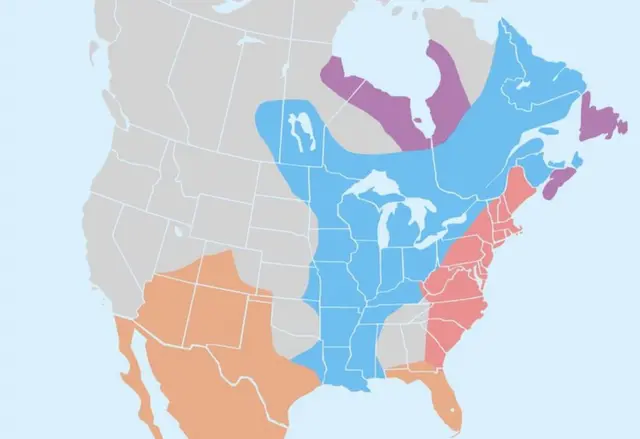 Mapa de las colonias europeas en 1713.