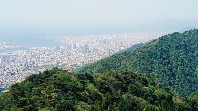 고베 전경. 숲 뒤에 큰 도시가 보인다.