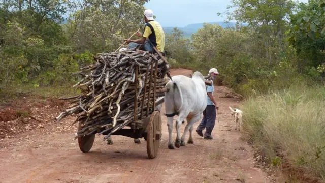 Embrapa e comunidade