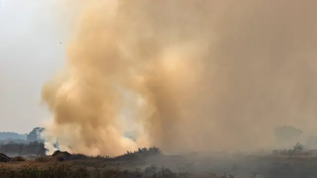 Grande fumaça lançadanatan betnacionalárea verde do Pantanal