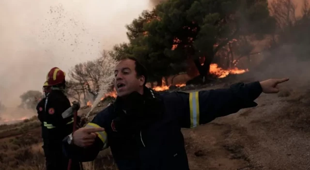 ဂရိ၊ တောမီး၊ ရွှေ့ပြောင်းဒုက္ခသည်