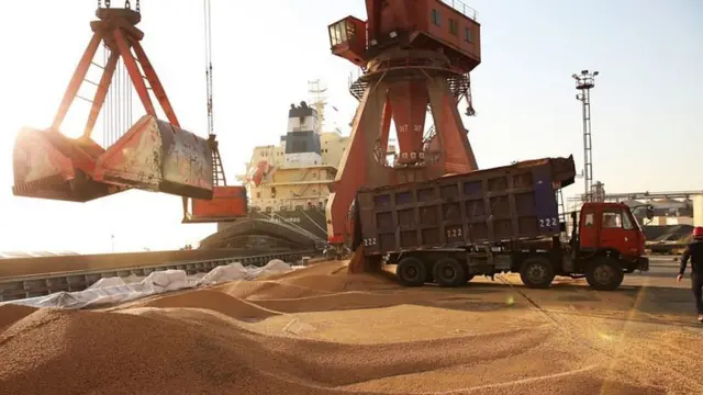 સોયાબીનની ખેતી