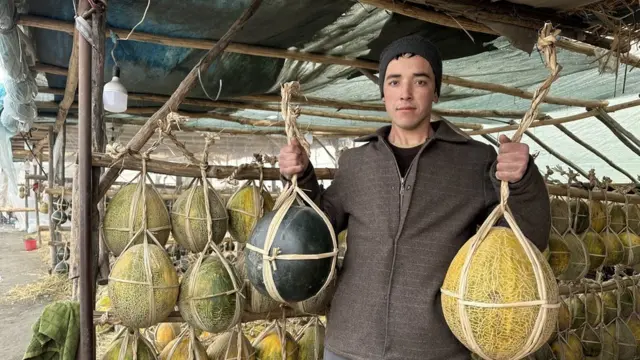 Қовун-тарвуз сотувчи йигит