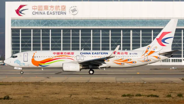 2022年3月21日执行MU5735航班时坠毁的中国东方航空波音737-800客机B-1791(资料图片)