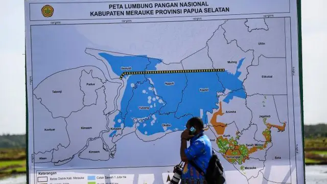 papua, pangan, hutan, politik
