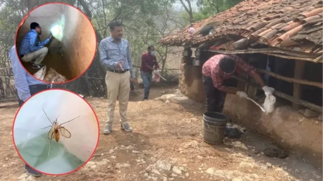 ચાંદીપુરા વાઇરસ