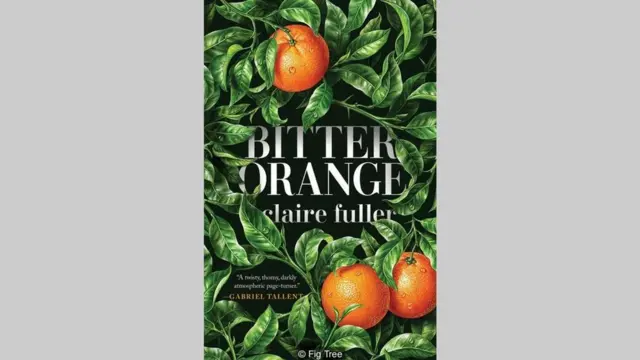 Claire Fuller, Bitter Orange