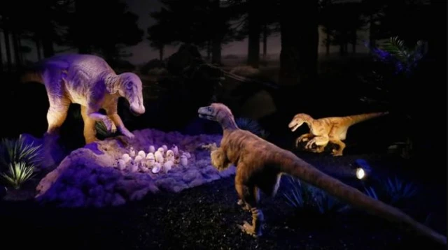 ช่วงปลายยุคครีเทเชียสที่ไดโนเสาร์ยังดำรงเผ่าพันธุ์อยู่ โลกหมุนเร็วจนหนึ่งปีมี 372 วัน