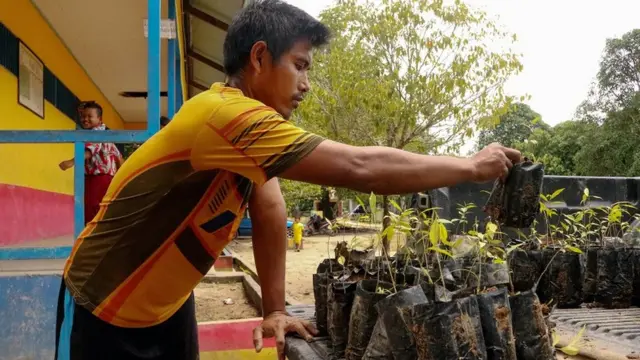 Warga menyiapkan bibit pohon, salah satu sarana pembayaran klinik kesehatan.