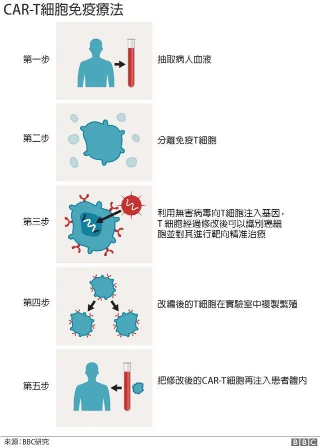 工作原理示意圖