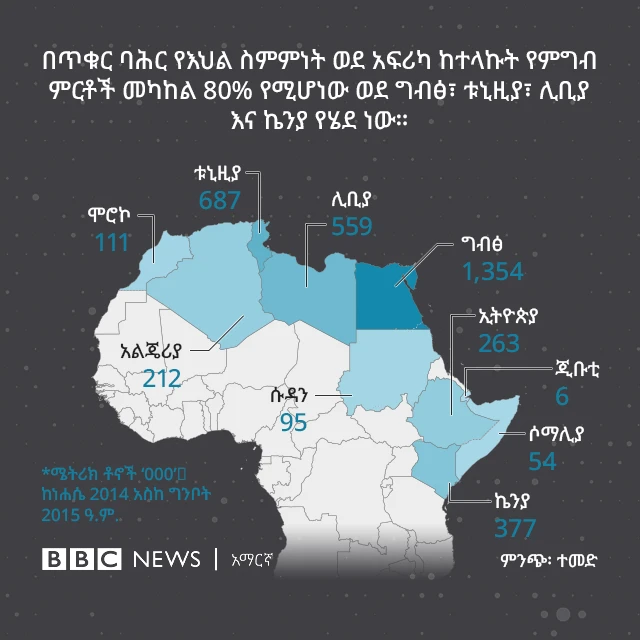 ለአፍሪካ አገራት የደረሰው የዩክሬን እህል 