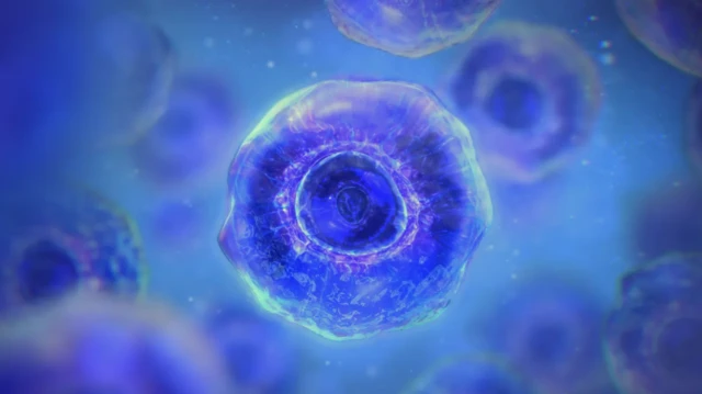 ภาพจำลอง “โปรทีเอโซม” ภายในเซลล์ร่างกายของมนุษย์