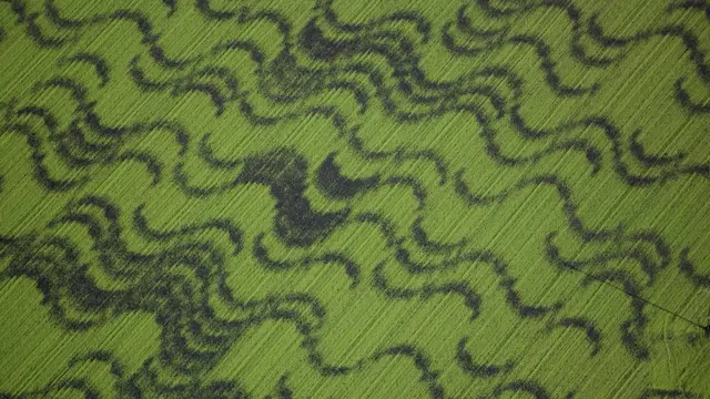 Следы древнего поселения в поле в Кембриджшире