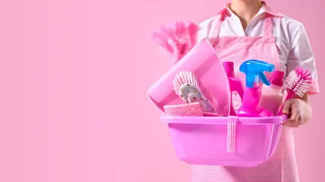 ఇల్లు శుభ్రం చేసుకోవడం