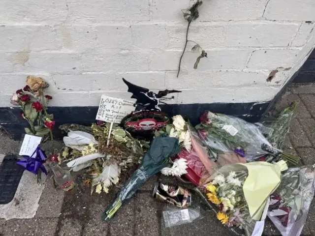 Цветы на земле у дома