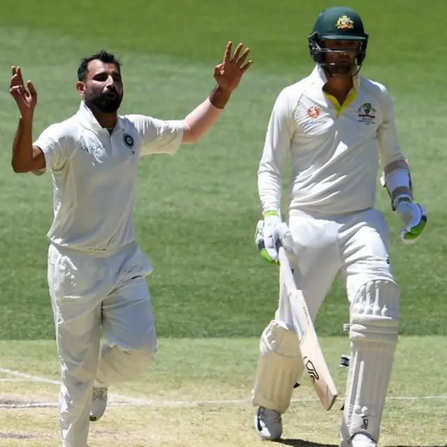 क्रिकेट