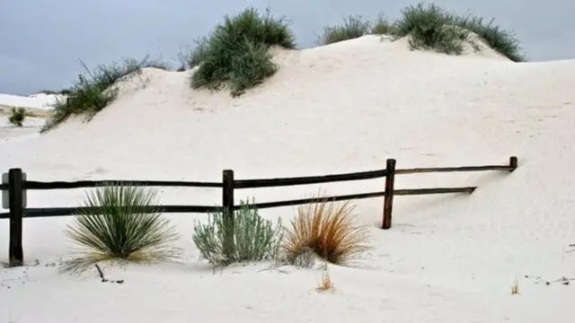 سوزن روسو گلبرٹ