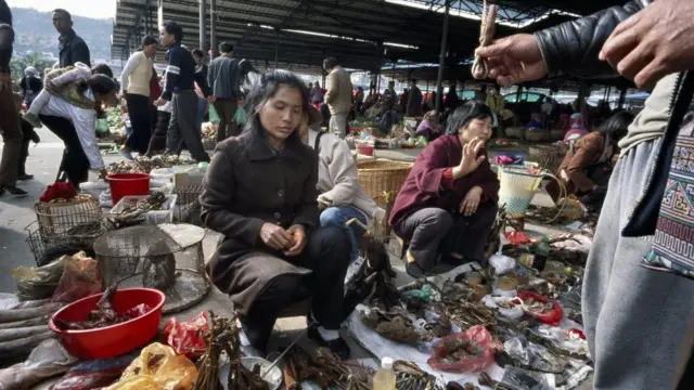 মিয়ানারে বন্যপ্রাণীর বাজার
