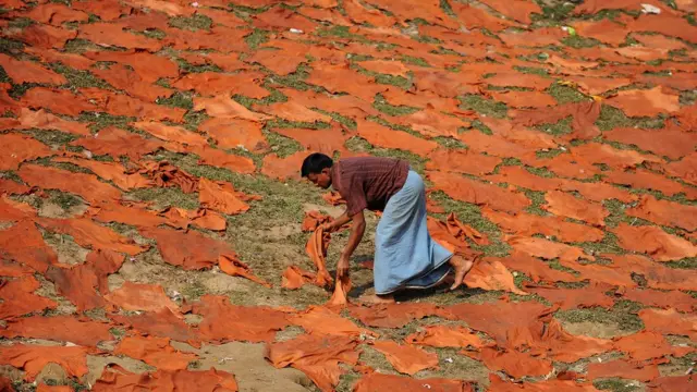 ট্যানারিতে পাঠানোর আগে চামড়া প্রস্তুত করা হচ্ছে
