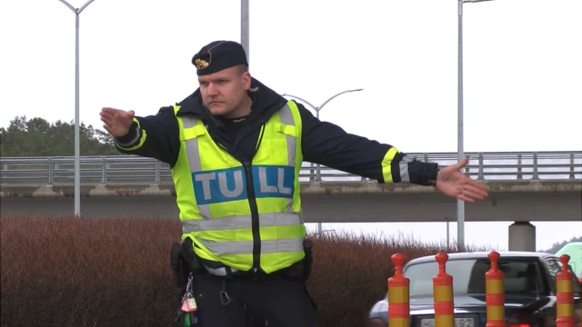 Шведский таможенник