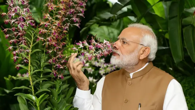 నరేంద్ర మోదీ