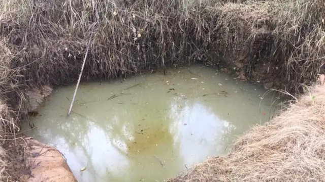 Fishpond wey di oil destroy