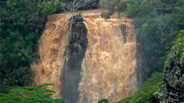 హవాయిలోని జలపాతం