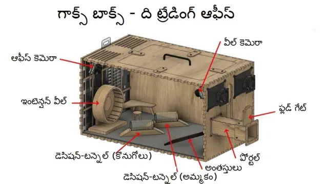 మిస్గర్ గాక్స్ ట్రేడింగ్ ఆఫీసు స్వరూపం