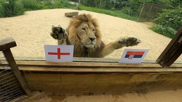 srbija, engleska, evropsko prvenstvo u fudbalu