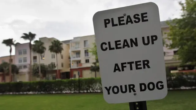 Напис "Приберіть за своїм собакою"